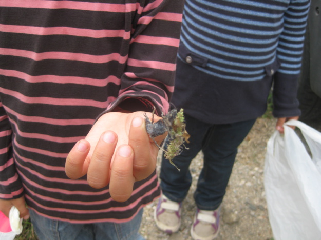 Activités périscolaires en images avec Danièle