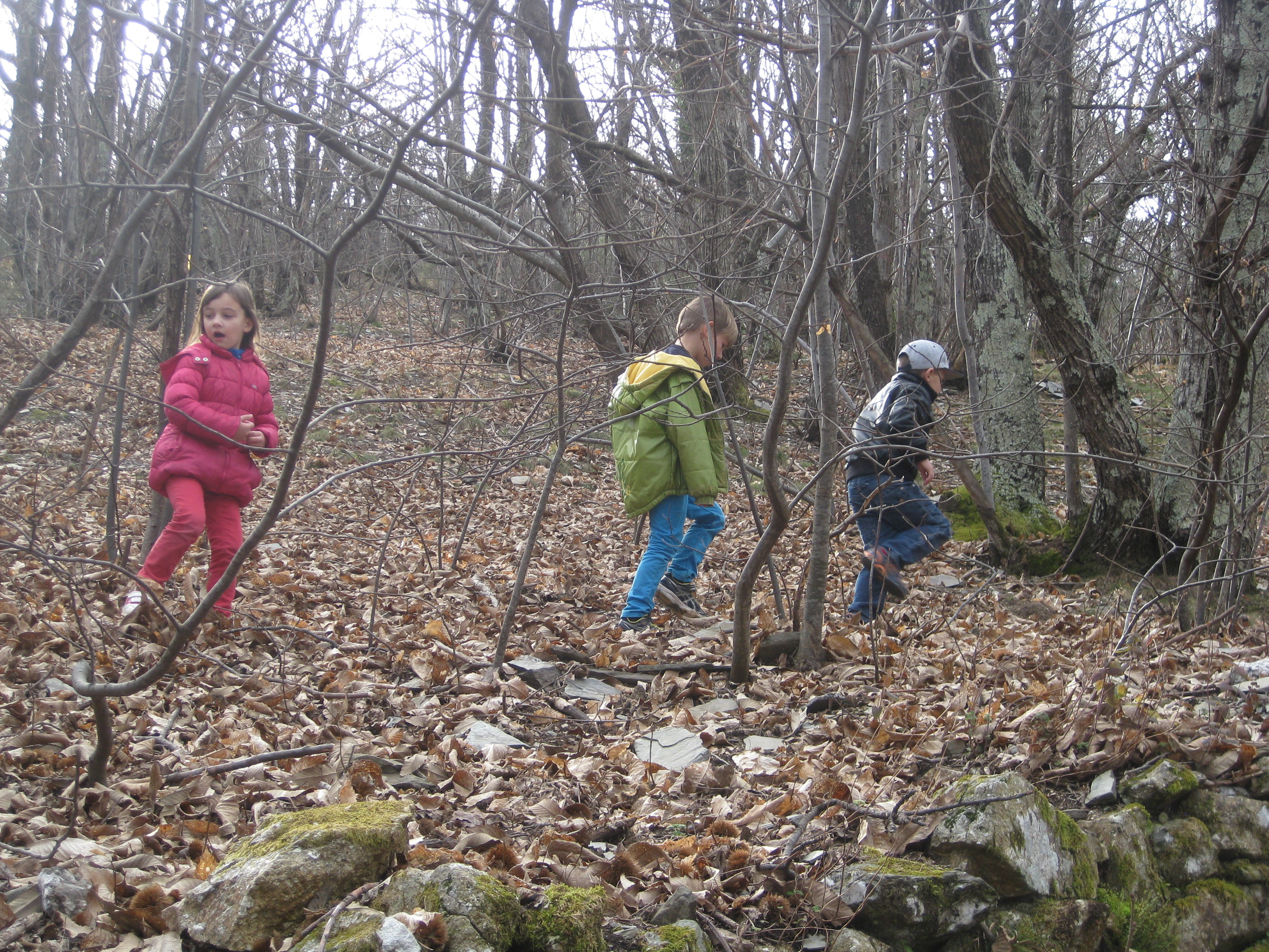 Les activités périscolaires avec Danièle et le groupe de grande-section