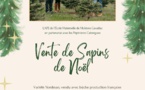 APE Ecole maternelle intercommunale : vente de sapins (modification livraisons)